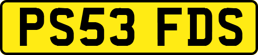 PS53FDS