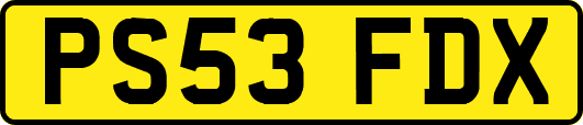 PS53FDX