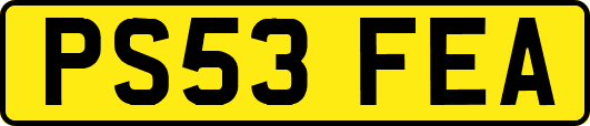 PS53FEA
