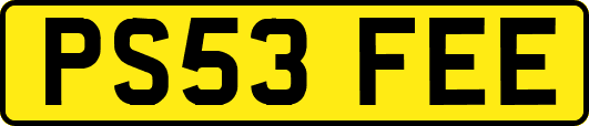 PS53FEE