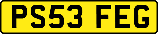 PS53FEG