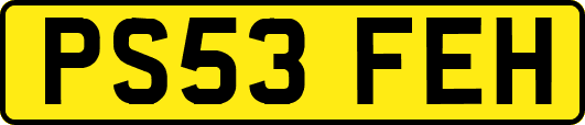 PS53FEH