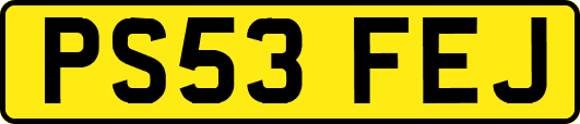 PS53FEJ