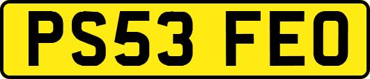 PS53FEO