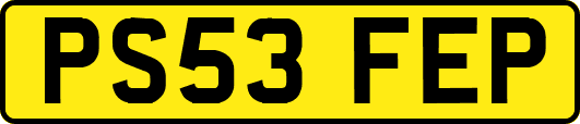 PS53FEP