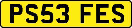 PS53FES