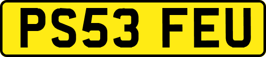 PS53FEU