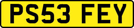 PS53FEY