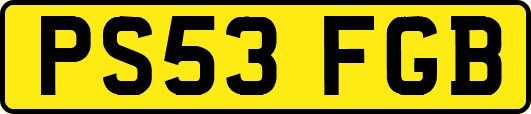 PS53FGB