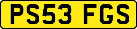 PS53FGS