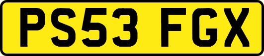 PS53FGX