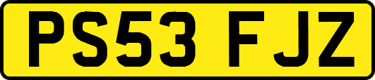 PS53FJZ