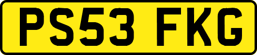 PS53FKG