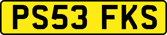 PS53FKS