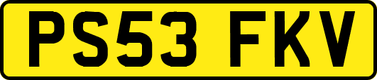 PS53FKV