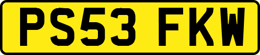 PS53FKW