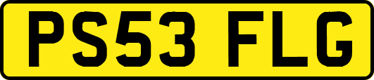 PS53FLG