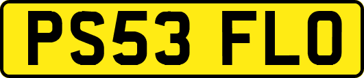 PS53FLO