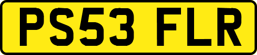 PS53FLR