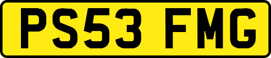 PS53FMG