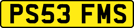 PS53FMS