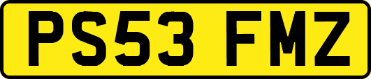 PS53FMZ