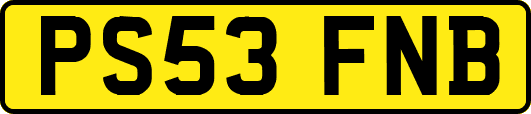 PS53FNB