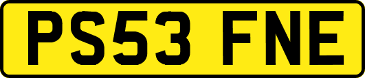 PS53FNE