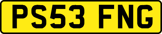 PS53FNG