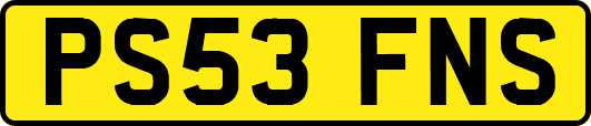 PS53FNS
