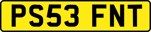 PS53FNT
