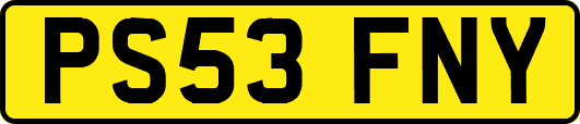 PS53FNY