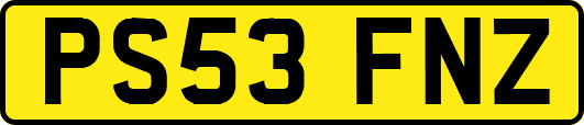 PS53FNZ