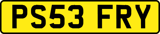 PS53FRY