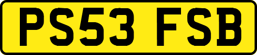 PS53FSB