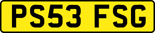 PS53FSG