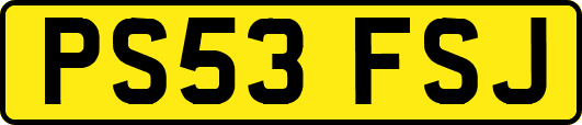 PS53FSJ