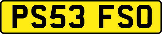 PS53FSO