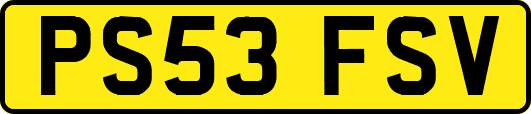 PS53FSV