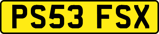 PS53FSX