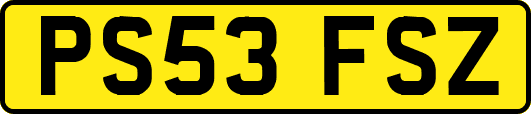 PS53FSZ