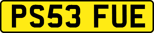PS53FUE