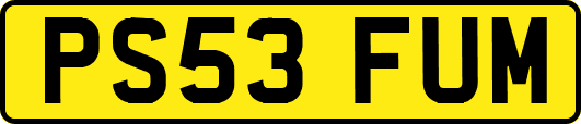 PS53FUM