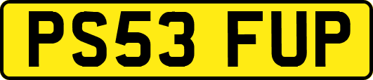 PS53FUP