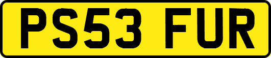 PS53FUR