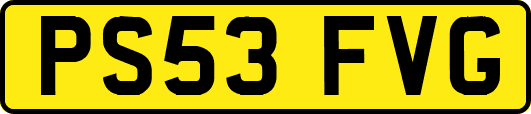 PS53FVG