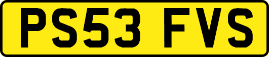 PS53FVS