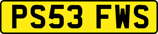PS53FWS