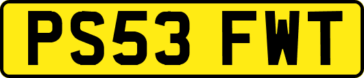 PS53FWT