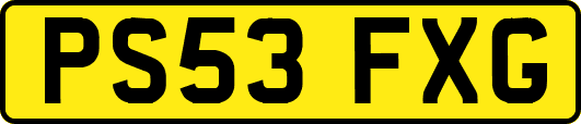 PS53FXG